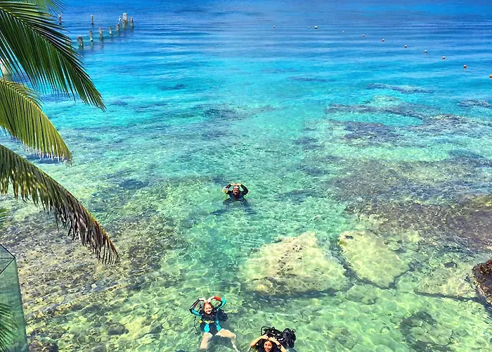 Blue Angel 4* Cozumel
